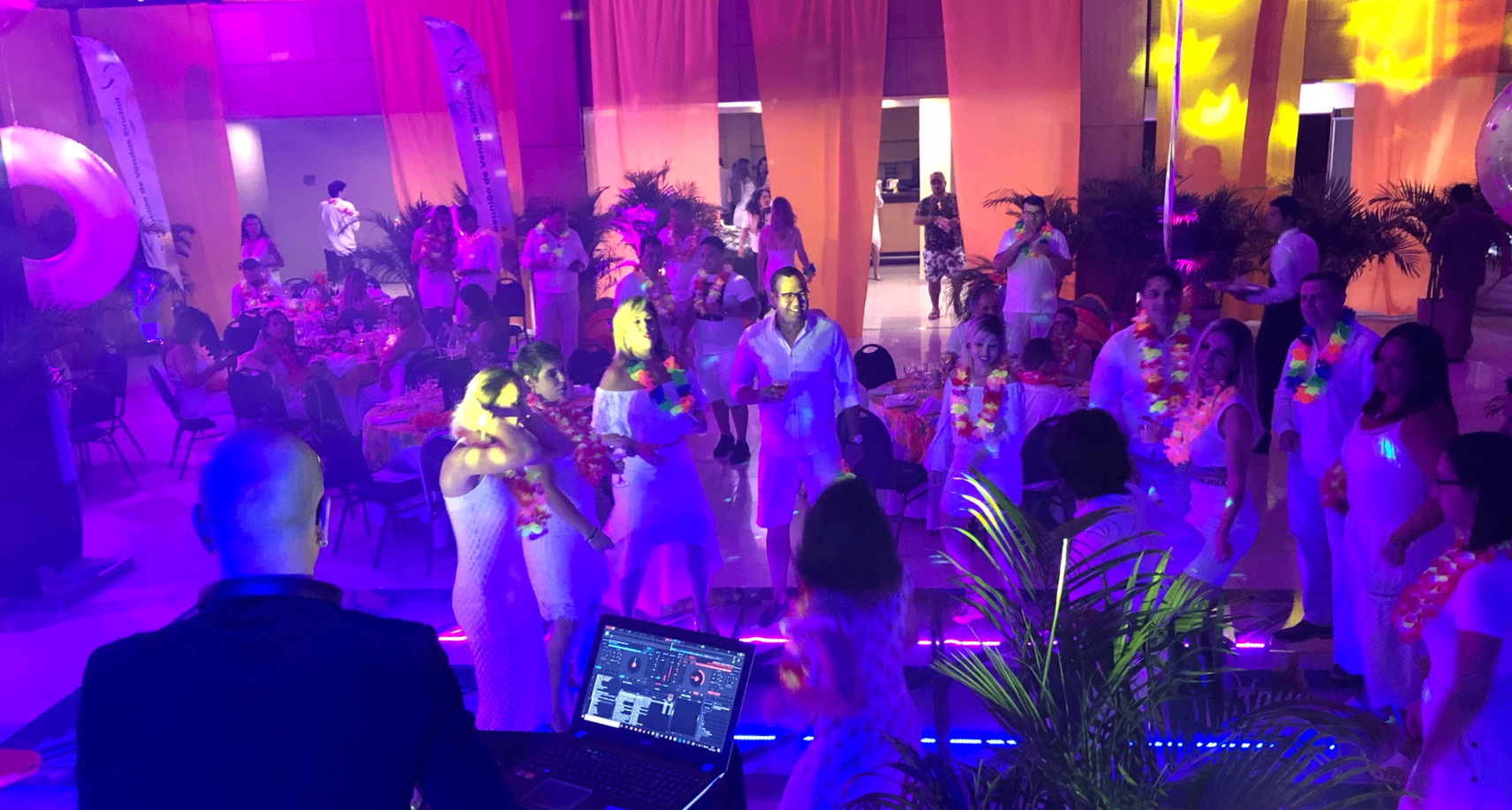 Festa tropical